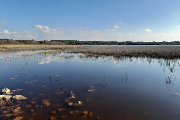 Promatranje će se održati u subotu od 11 do 15 sati (Foto: JU NATURA HISTRICA)