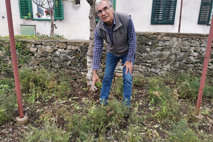 (Snimio Branko Biočić / Glas Istre)