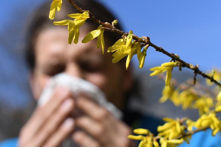 (Foto: Angelika Warmuth/DPA)