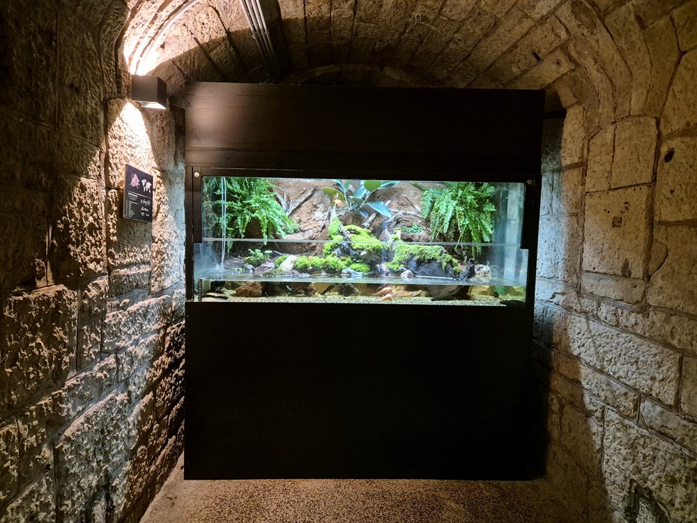 (Foto: Aquarium Pula)