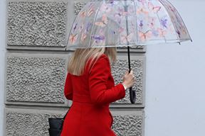 (Snimio Duško Marušić Čiči/Glas Istre)