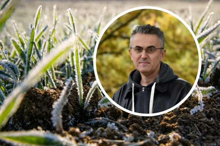 (Snimio: Davor Kovačević / iStock)