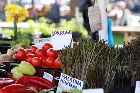 (Snimila Leona Teodorović / Glas Istre)