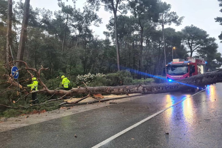 (Foto: JVP Rovinj - Rovigno)