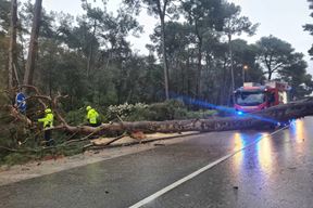 (Foto: JVP Rovinj - Rovigno)