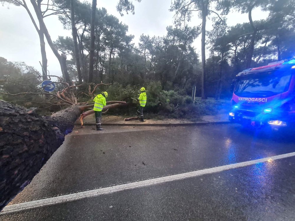 (Foto: JVP Rovinj - Rovigno)