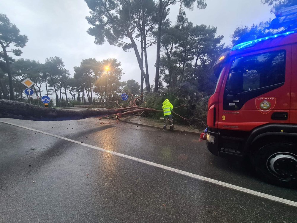 (Foto: JVP Rovinj - Rovigno)