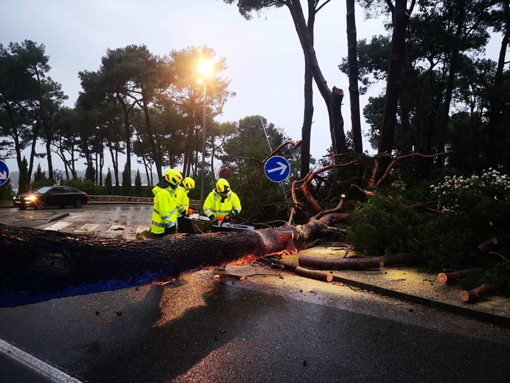 (Foto: JVP Rovinj - Rovigno)