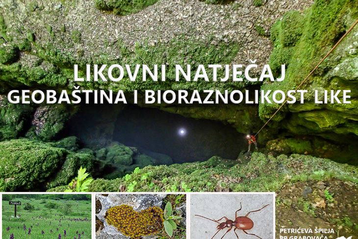 (Fotografiju poslao: Marin Smolčić)