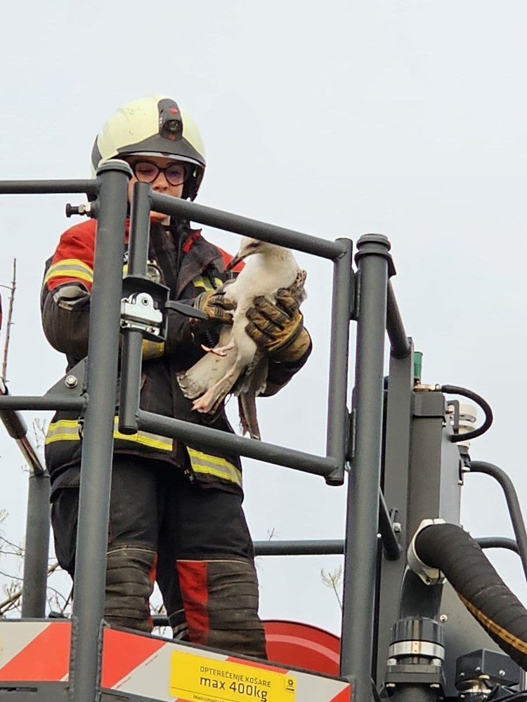(Foto: JVP Umag)