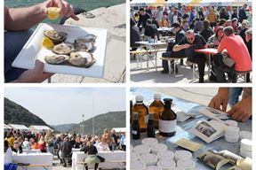 (Snimila Doria Mohorović)