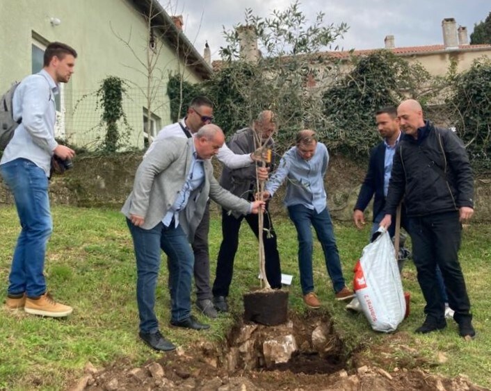 (Foto Udruga maslinara središnje Istre)
