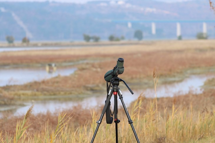 Ilustracija (Foto: JU Natura Histrica)