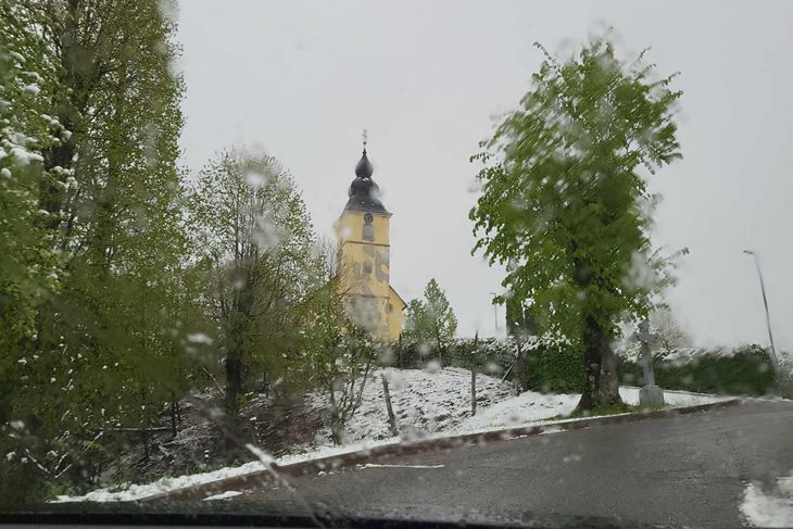 Zeleno-bijeli ugođaj u Hribu (Snimila Diana Zbašnik)