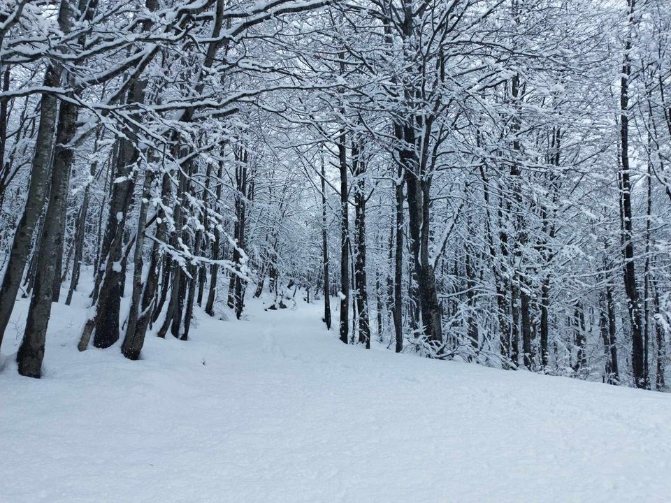 Platak (Snimio Marin Vlastelica)