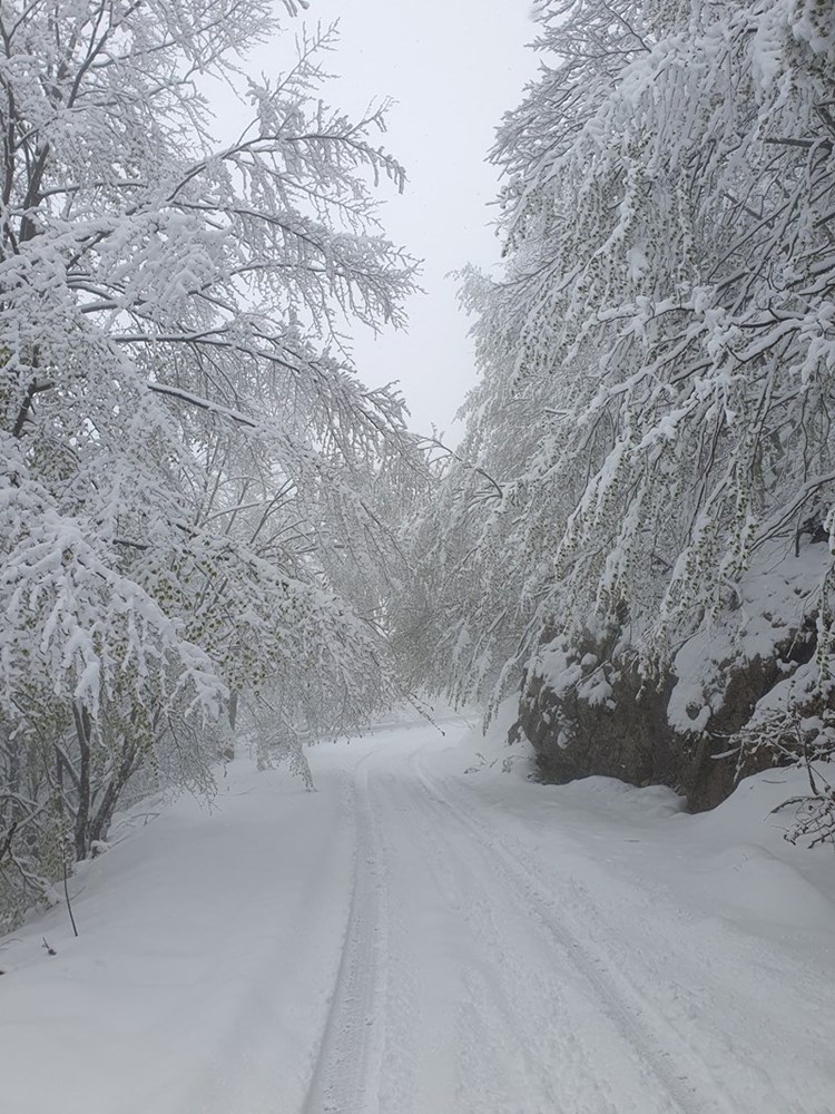 Učka (Foto: Rimeteo)
