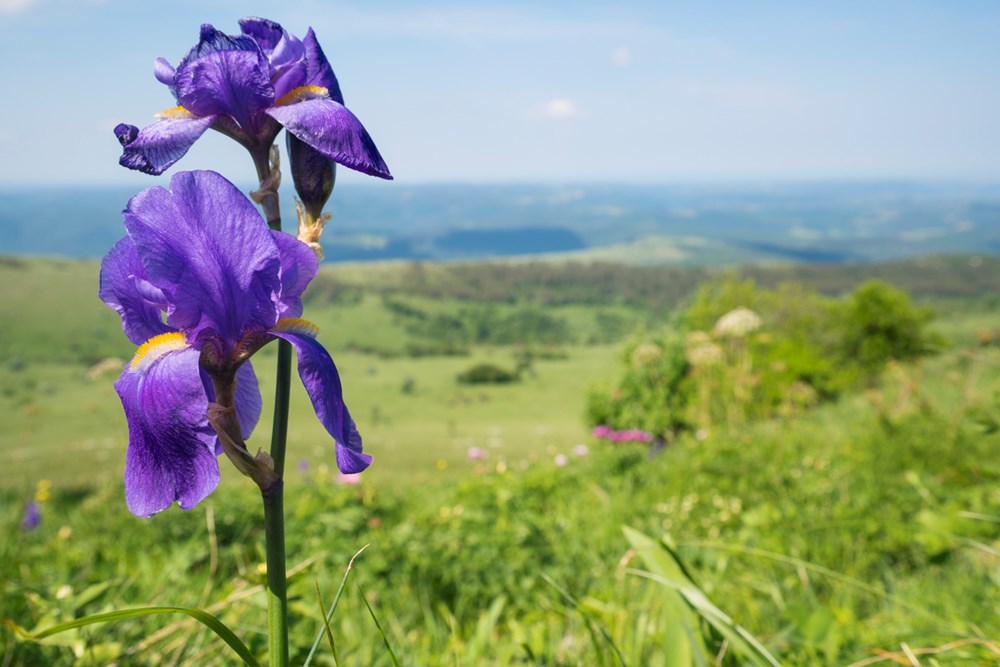 (Foto: iStock)