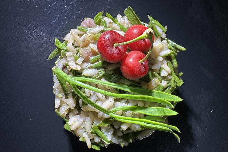 Risotto alla Barbariga