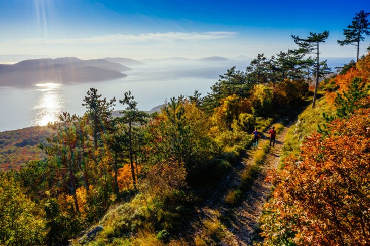 (Foto: Park prirode Učka)