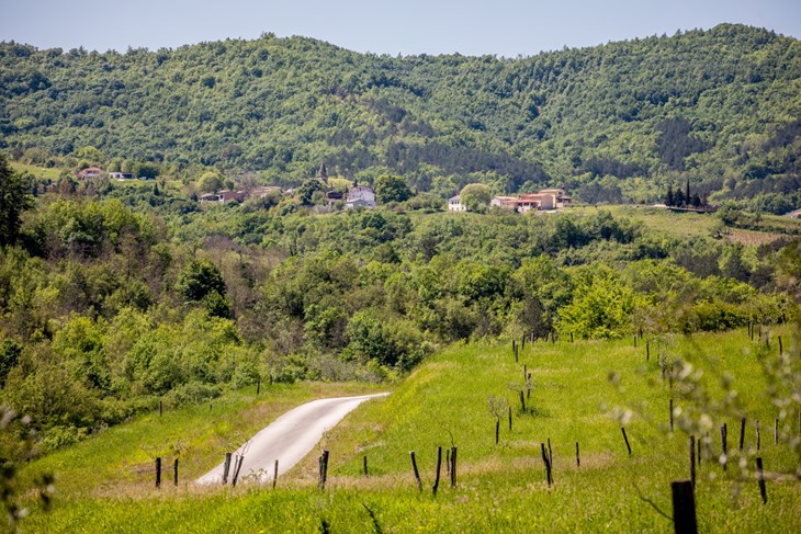 (Foto: TZ središnje Istre)