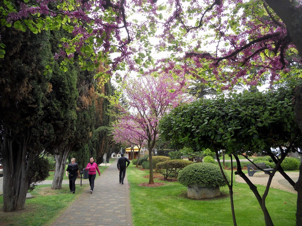 Park Olge Ban u Poreču (Arhiva Glasa Istre)