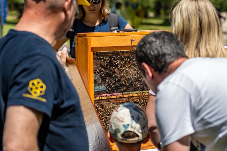 (Foto: Nacionalni park Brijuni/Nataša Sundara)