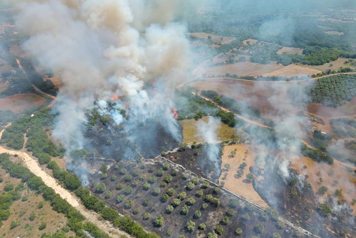 (Foto: JVP Rovinj - Rovigno)