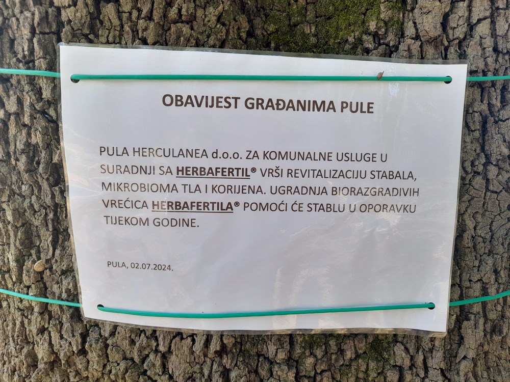 (Foto: Pula Herculanea)