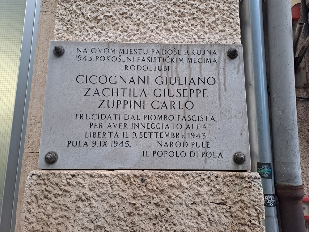 (Snimio Zoran Oljača)