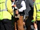 (Reuters)