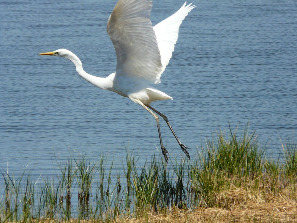 (Foto: JU Natura Histrica) 