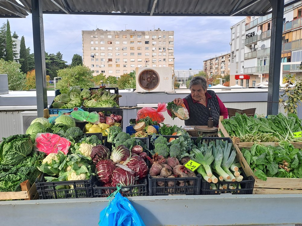 (Snimio Zoran Oljača)