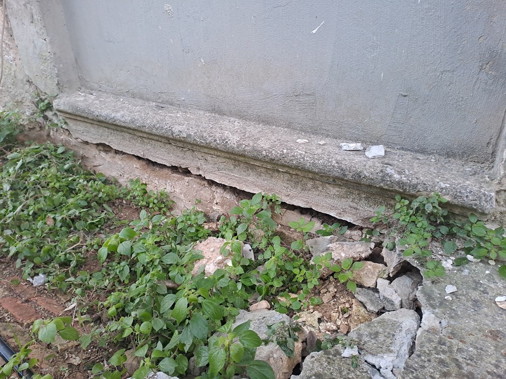 (Snimila Jelena Milović)