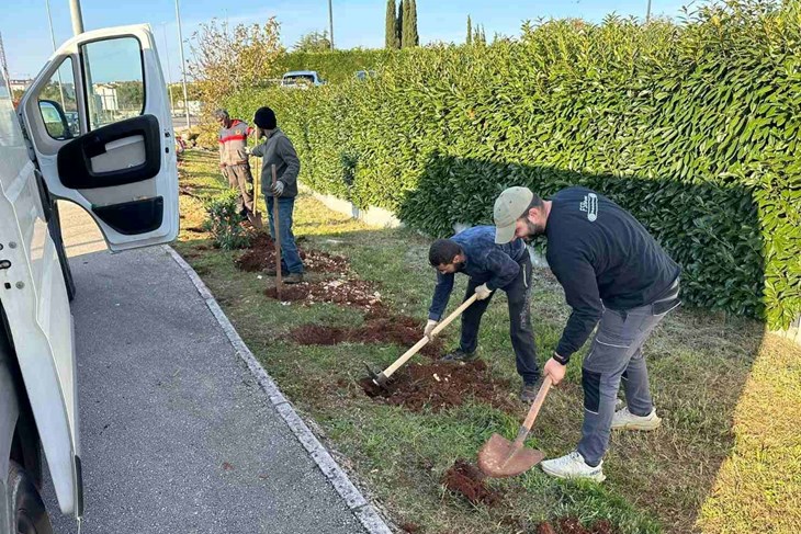 (Grad Poreč)