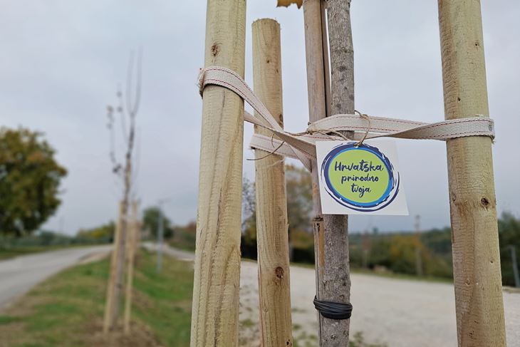 (Foto: TZ Općina Grožnjan)