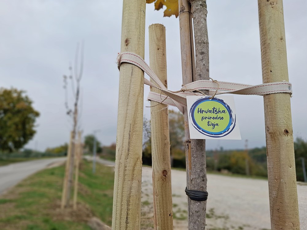 (Foto: TZ Općina Grožnjan)