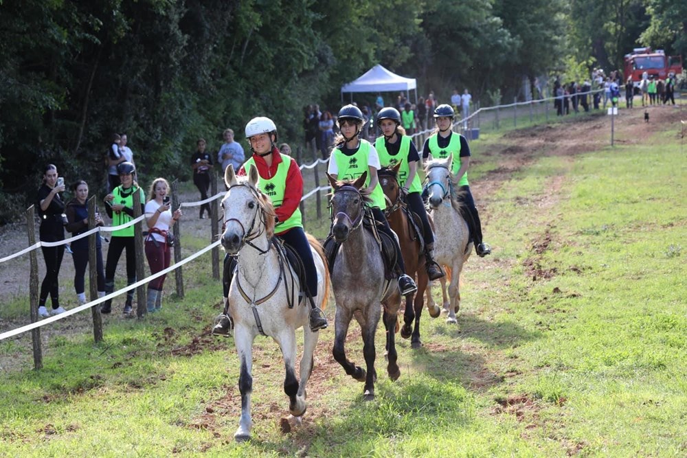 (Foto: Konjički klub Istra)