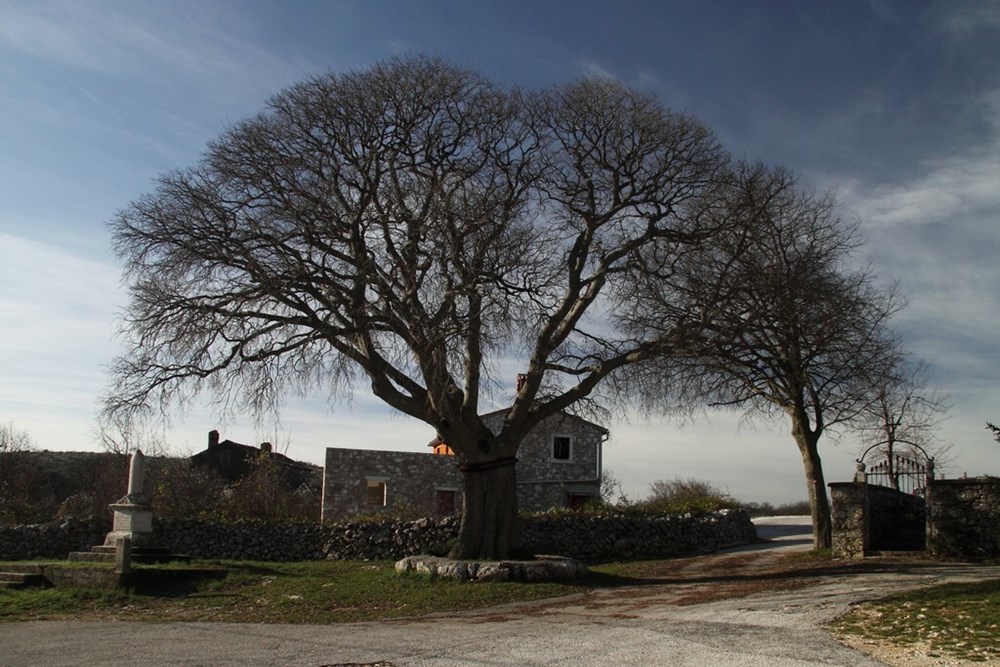 Skitača, župa sv. Lucije