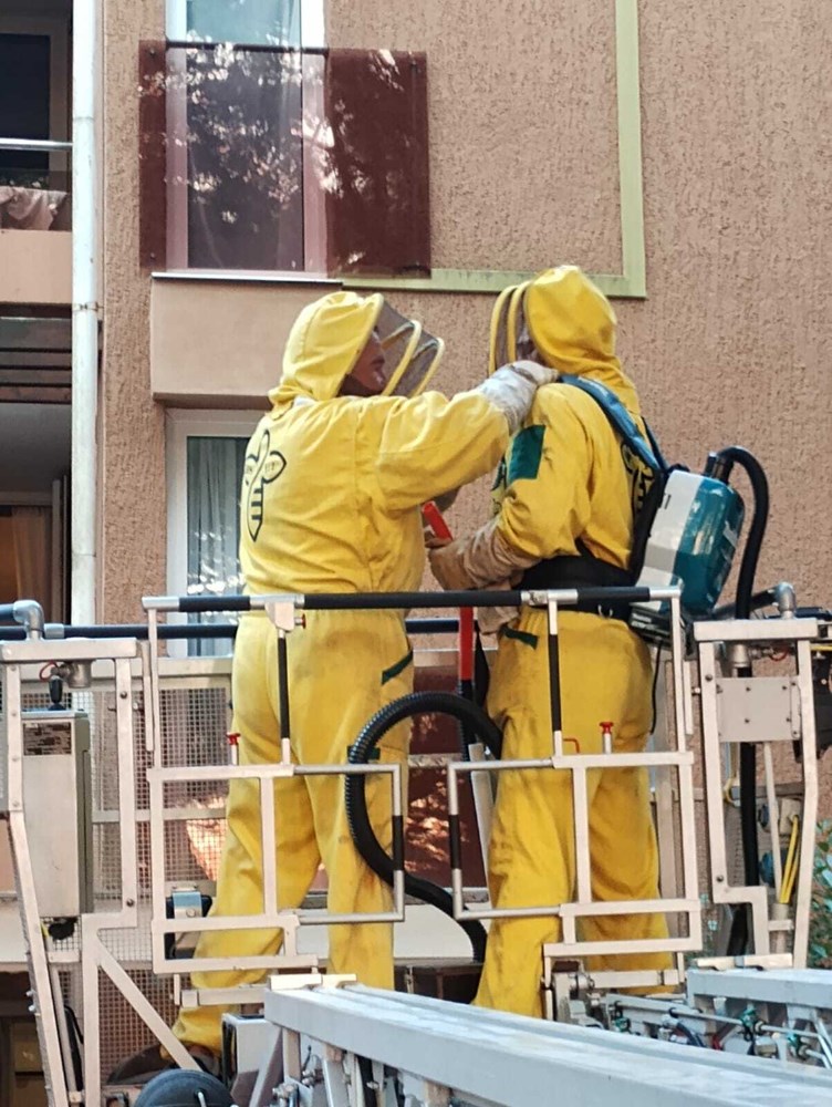 Udruga Nektar