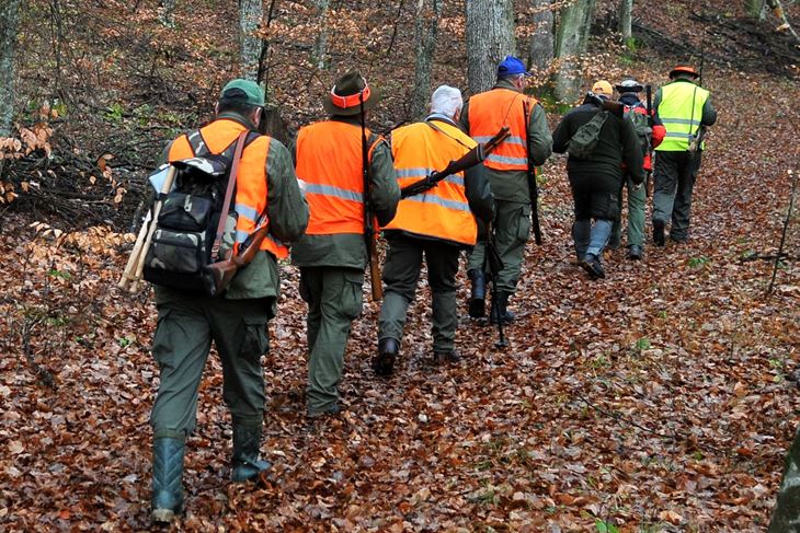 Do ljeta lovci planiraju proširiti djelovanje i na poljoprivredno područje i vinograde (Snimio Duško Mirković / Pixsell)