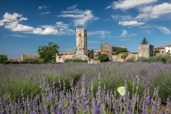 (Foto Turistička zajednica središnje Istre)