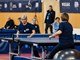 (Stone Racket Istria 2025)
