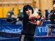 (Stone Racket Istria 2025)