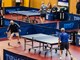 (Stone Racket Istria 2025)