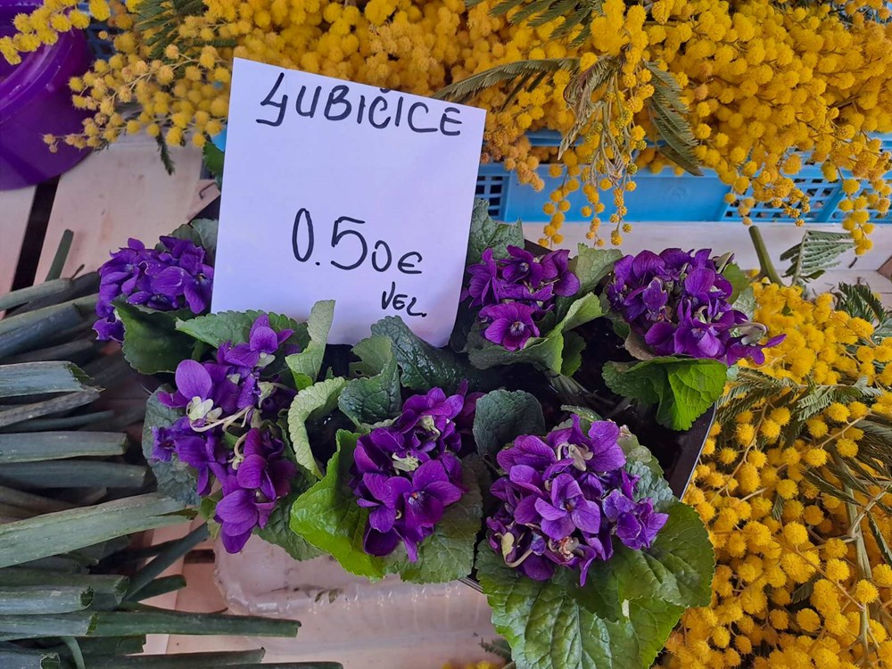 (Snimio Zoran Oljača)