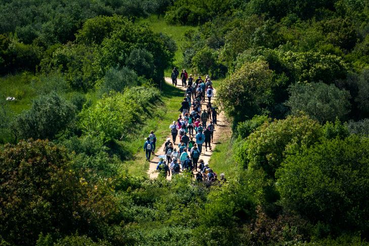(Foto TZG Pula)