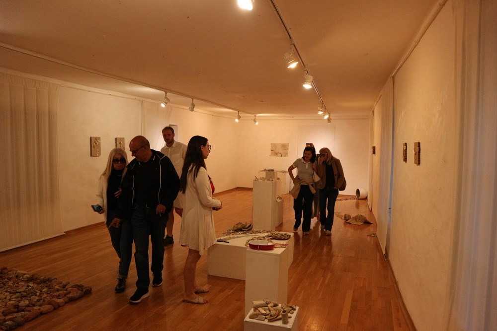 (Galerija Fonticus)