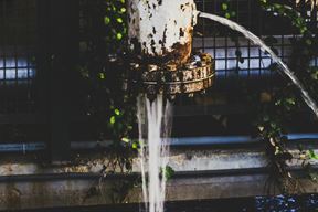 Ilustracija (Pexels)