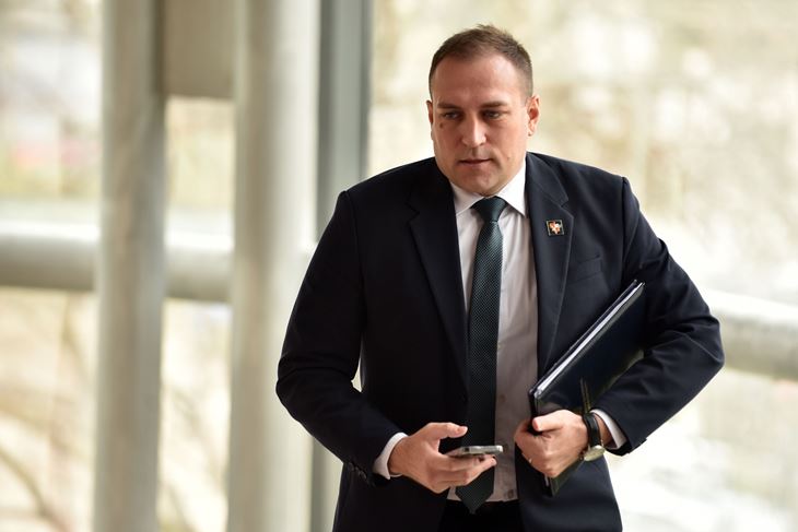 (Snimio Davor Kovačević / Novosti)