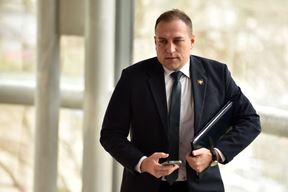 (Snimio Davor Kovačević / Novosti)